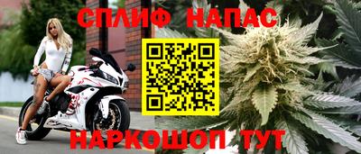 не бодяженный Дубна
