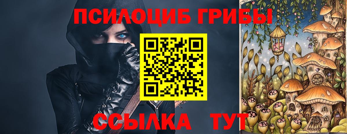 Галлюциногенные грибы Psilocybe Протвино