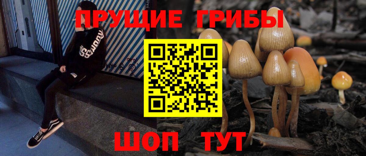 Протвино  Псилоцибиновые грибы мицелий  Псилоцибиновые грибы Psilocybe  Вход с VPN 